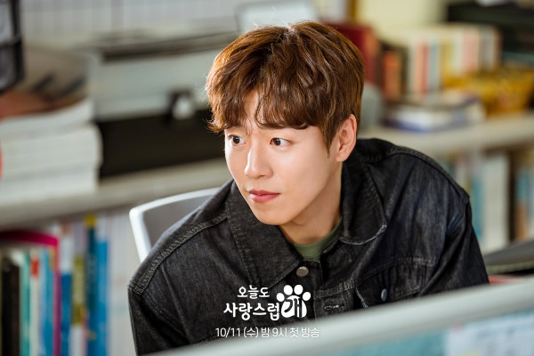 5 Drama Korea dari Lee Hyun-Woo, Terbaru A Good Day to Be a Dog
