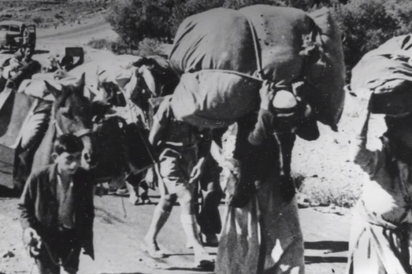 Apa Perbedaan Nakba dan Naksa? Keduanya Adalah Cerita Kelam bagi Warga Palestina
