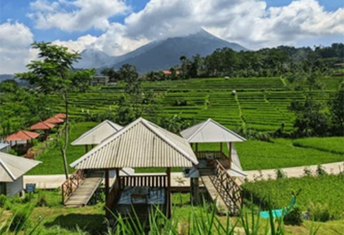 5 Tempat Wisata Dingin di Jawa Timur, Bromo hingga Trawas