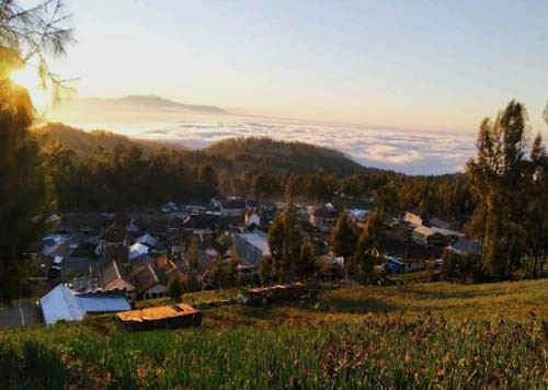 Pesona Argosari, Desa di Atas Awan Kawasan Lumajang
