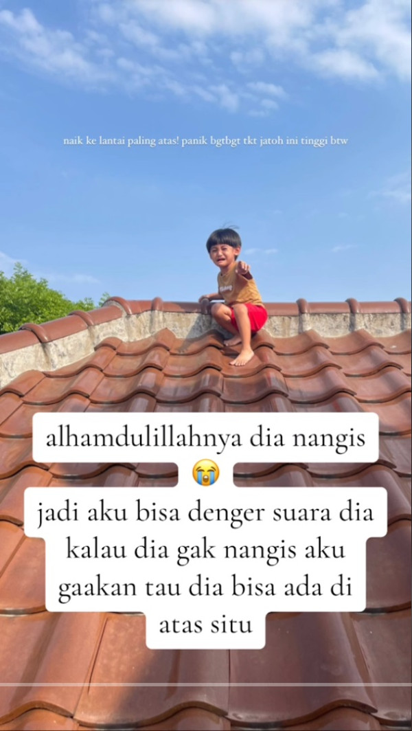 Viral! Bocah 2,5 Tahun Naik Genteng Sendirian Gegara Ingin Lihat Ayam, Sempat Dikira Hilang