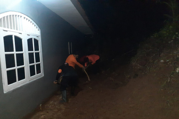 Hujan Angin Sebabkan Pohon Tumbang, Longsor, dan Atap Rumah Ambruk di Bogor