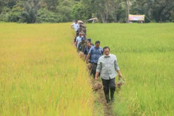 Sukses Atasi Masalah Perekonomian Kota, Pemkot Padangsidimpuan Raih Penghargaan IVL 2023