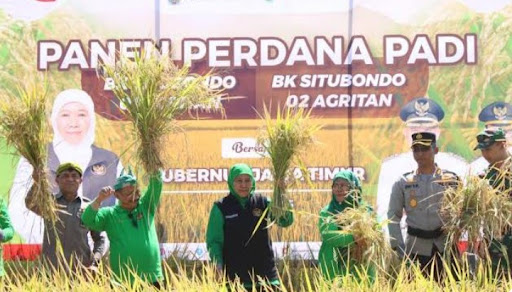 Sukses Tingkatkan Pendapatan Asli Daerah, Bupati Situbondo Terima Penghargaan IVL 2023