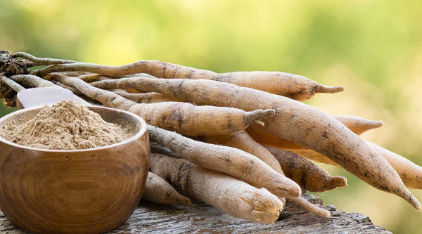 8 Herbal yang Bikin Panjang Umur, Terbukti Mujarab