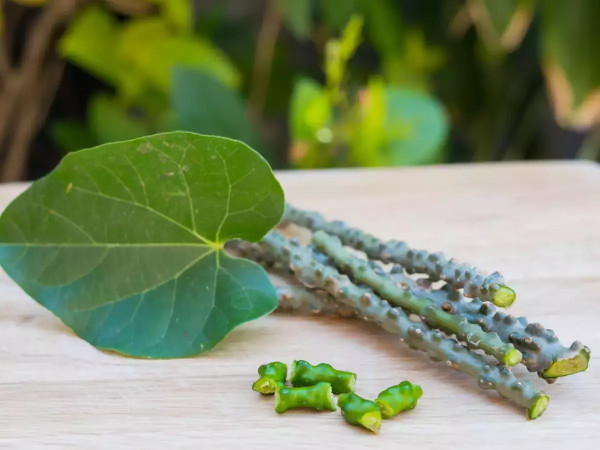 8 Herbal yang Bikin Panjang Umur, Terbukti Mujarab