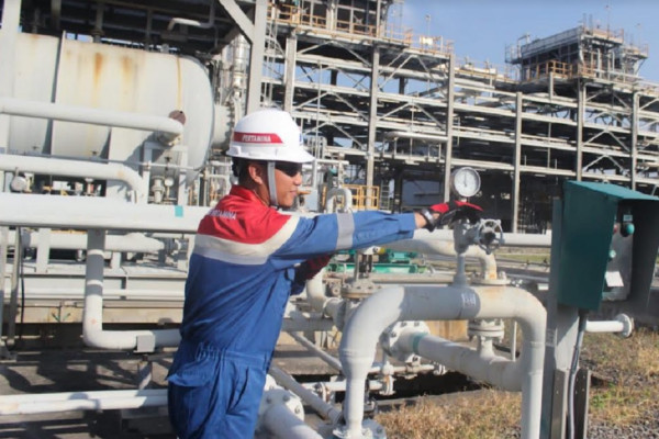 Memberi Energi Melindungi Bumi, Menangkap Emisi Karbon untuk Indonesia Bersih