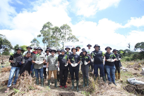 BRI Peduli Grow & Green Tanam 2.500 Bibit Pohon di Samosir