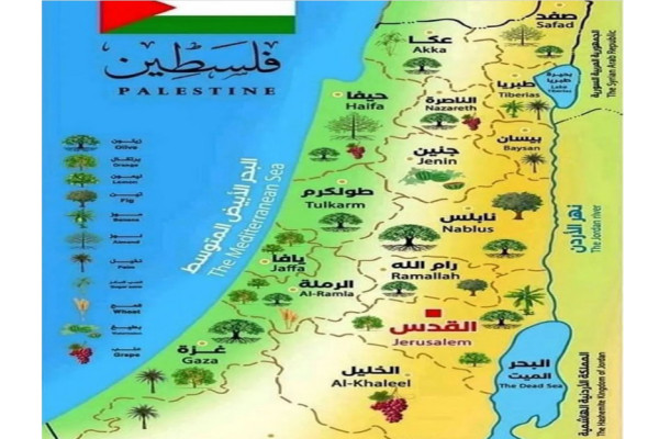 5 Cara Licik Zionis Israel untuk Kuasai Tanah Palestina