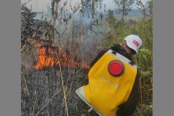 Ini Penampakan Kebakaran Lereng Gunung Rinjani Hanguskan 95 Hektare Lahan