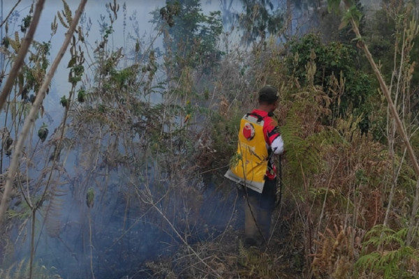 Ini Penampakan Kebakaran Lereng Gunung Rinjani Hanguskan 95 Hektare Lahan