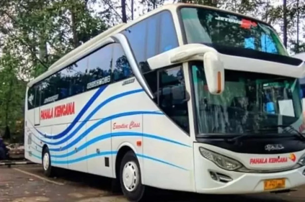 5 PO Bus yang Melayani Rute Jakarta-Tegal, Lengkap dengan Kisaran Tiketnya