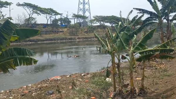 Mayat Pria Ditemukan Mengambang di Kanal Banjir Timur Cakung, Kondisi Kepala dan Punggung Luka