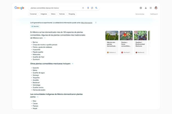 Pencarian AI Generatif Google Tersedia di 120 Negara dan Hadirkan 4 Bahasa Baru
