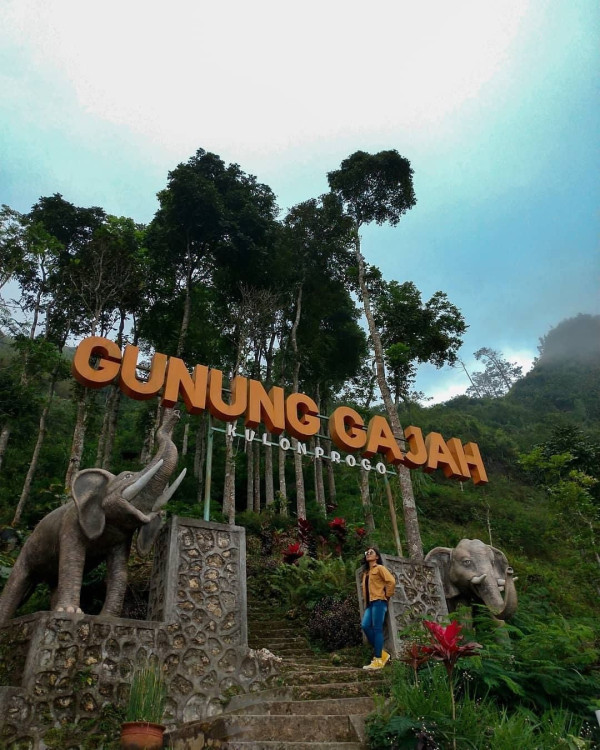 5 Tempat Wisata Menarik di Kulon Progo, Kota Unik yang Dikunjungi Ganjar Pranowo