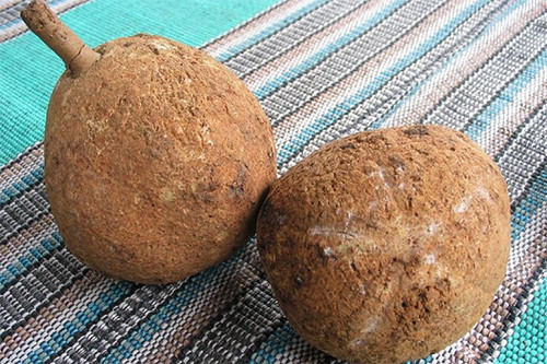 5 Buah dengan Tampilan Tak Biasa, Hanya Tumbuh di Indonesia