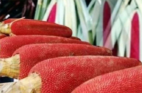 5 Buah dengan Tampilan Tak Biasa, Hanya Tumbuh di Indonesia