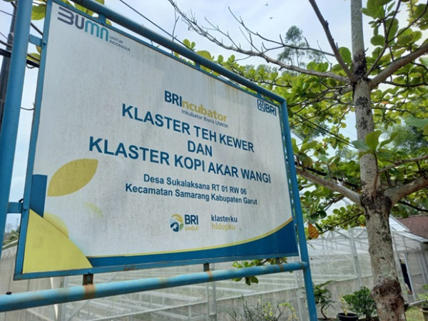 Menikmati Kopi Akar Wangi di Desa Wisata, Semakin Tumbuh dengan BRI Klasterku Hidupku