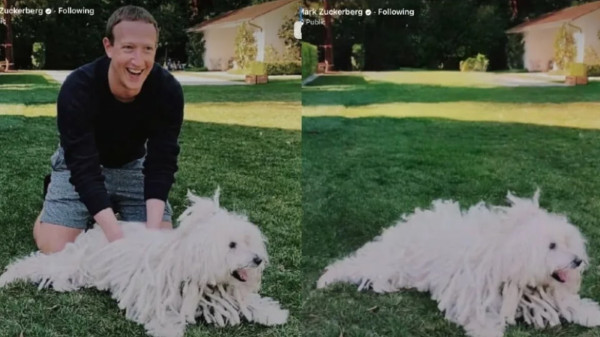 Fakta Menarik Beast, Anjing Gembala Berbulu Unik Milik CEO Facebook Mark Zuckerberg