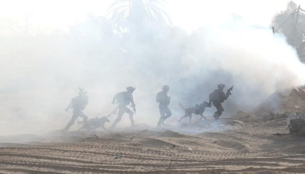 5 Alasan Perang Gaza Tidak Menjadi Konflik yang Lebih Luas di Timur Tengah