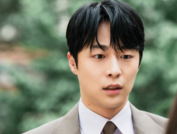 Rekomendasi Drama Korea Bae In-Hyuk, Terbaru The Story of Park's Marriage Contract