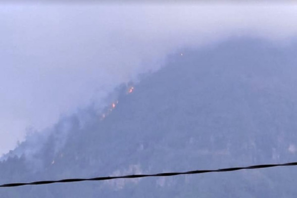 Kobaran Api di Gunung Panderman Padam, 29 Hektare Lahan Hangus Terbakar