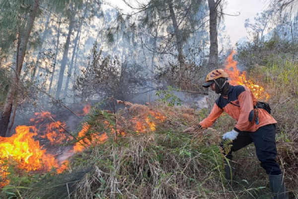 Kobaran Api di Gunung Panderman Padam, 29 Hektare Lahan Hangus Terbakar