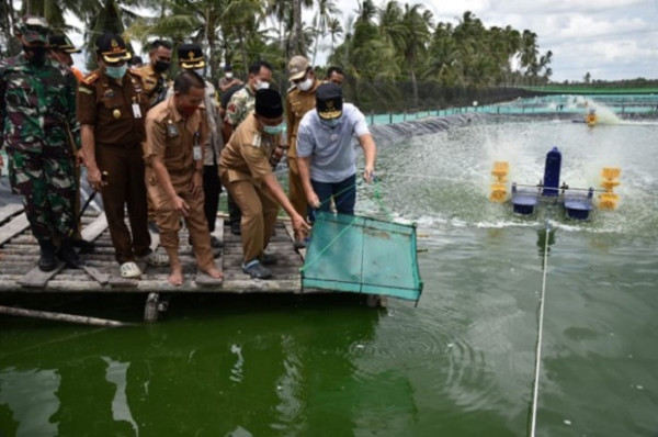 Bangun Shrimp Estate Berkelanjutan, Gubernur Kalteng Optimis Tingkatkan Perekonomian