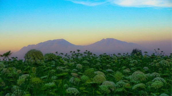 5 Tempat Wisata Gratis di Batu dan Malang yang Instagrammable!