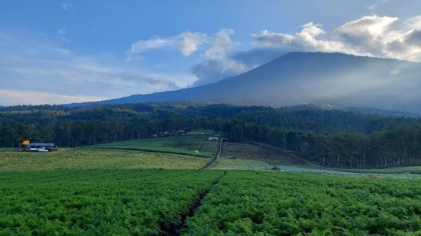 5 Tempat Wisata Gratis di Batu dan Malang yang Instagrammable!