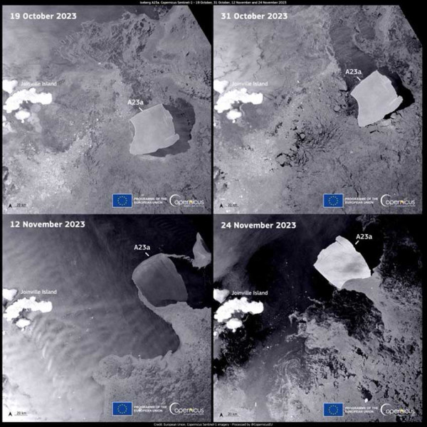 Bikin Khawatir, Gunung Es Antartika Bergerak Makin Cepat 5,5 Km Setiap Hari