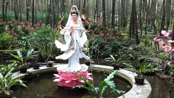 Beji Antaboga, Hutan 6 Agama di Banyuwangi yang Cocok untuk Cari Ketenangan