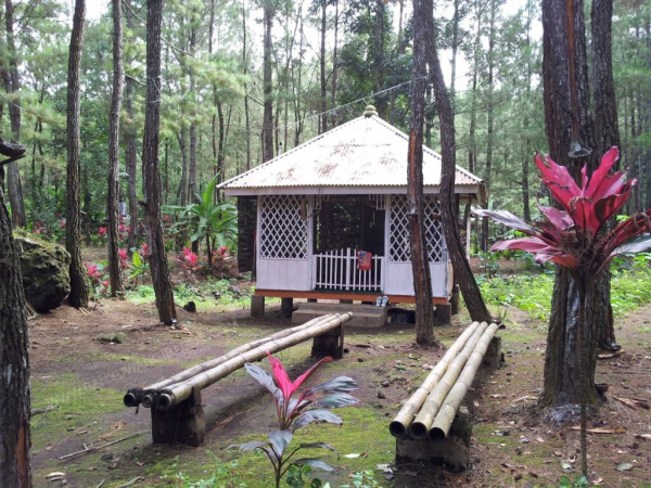 Beji Antaboga, Hutan 6 Agama di Banyuwangi yang Cocok untuk Cari Ketenangan