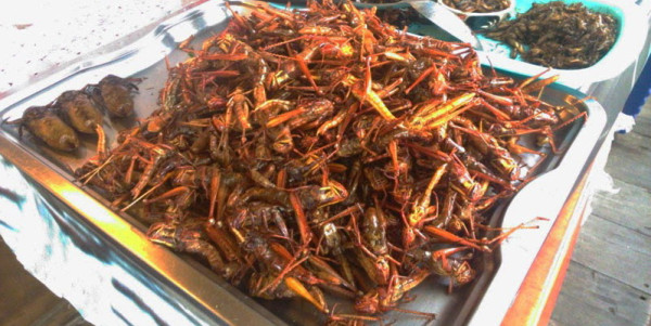 6 Makanan Khas Indonesia Terbuat dari Serangga, Berani Mencobanya?