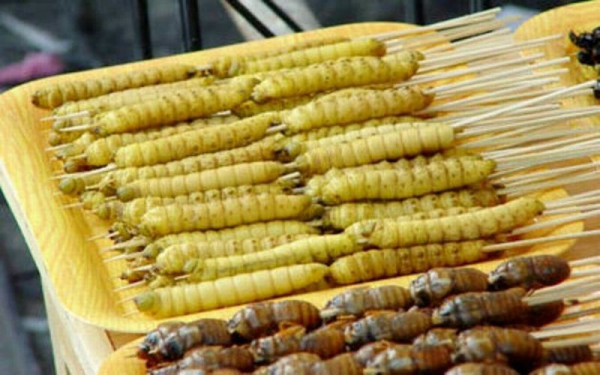 6 Makanan Khas Indonesia Terbuat dari Serangga, Berani Mencobanya?
