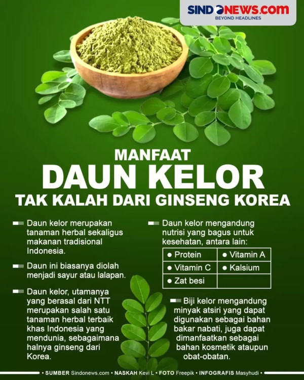 5 Manfaat Daun Kelor yang Jarang Diketahui, Baik bagi Penderita Kolesterol