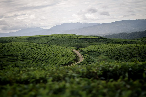 5 Tempat Wisata di Indonesia Jarang Dikunjungi, Cocok untuk Liburan Natal dan Tahun Baru