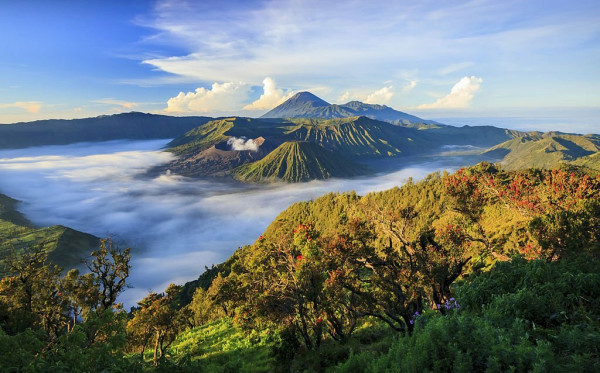 Bromo Dinobatkan Jadi Taman Nasional Terindah di Dunia 2023
