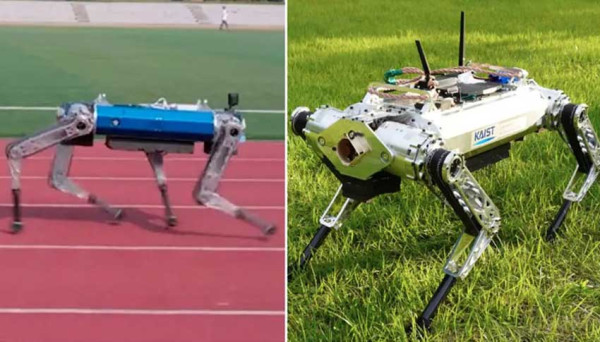 Ini Robot Berkaki Empat Tercepat di Dunia, Hound Catat Waktu 19 Detik Lari 100 Meter