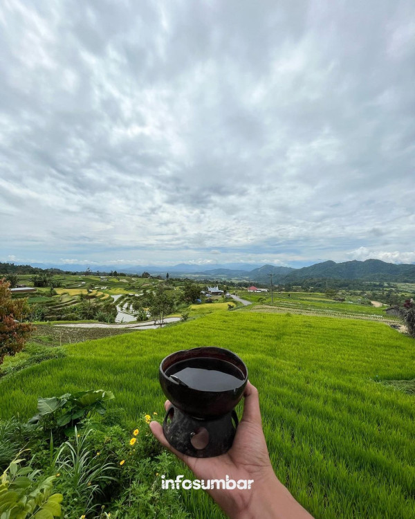 10 Minuman Khas Nusantara Paling Menyehatkan, Nomor 3 Bisa Turunkan Kolesterol