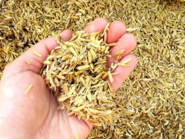 6 Jenis Nasi untuk Menurunkan Berat Badan dan Kecilkan Perut Buncit