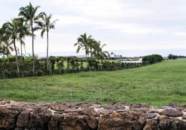 Mengintip Properti Anti-Kiamat Mark Zuckerberg Seharga Rp1,5 Triliun di Hawaii