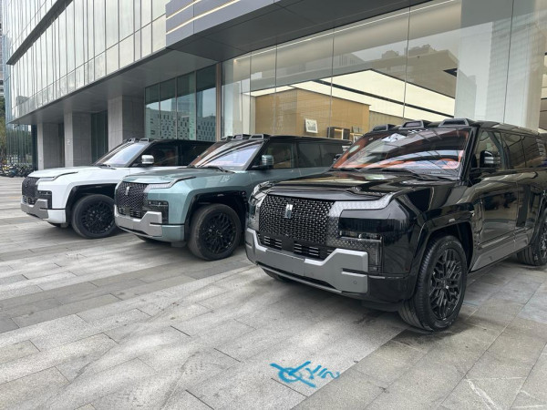 Perbedaan 5 Kategori Mobil Listrik BYD: Dynasty, Ocean, Denza, Yangwang, dan Fang Cheng Bao
