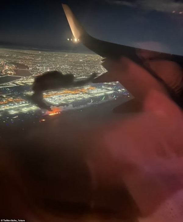 Detail Spesifikasi Pesawat yang Terbakar di Bandara Jepang