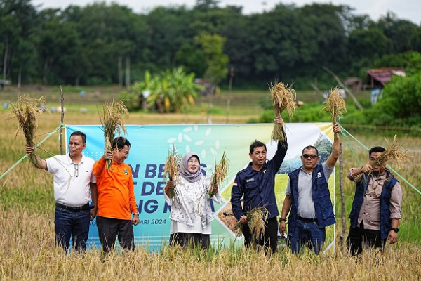 PLTS Irigasi Bukit Asam Dukung Pertanian Berkelanjutan