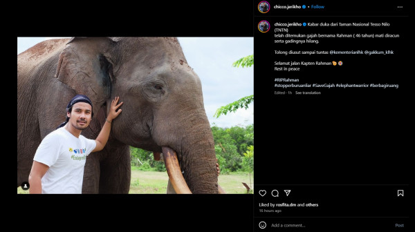 Chicco Jerikho Sedih Gajah Rahman Tewas Diracun, Desak Pemerintah Usut Tuntas