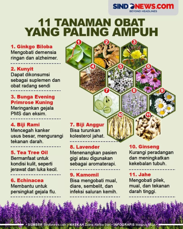 6 Tanaman Obat yang Bisa Ditanam di Pot dan Manfaatnya