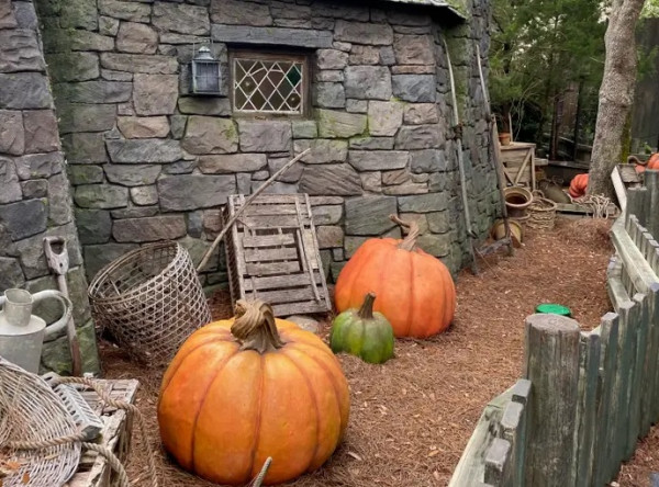 Pesona Desa Hogsmeade di Orlando Bikin Takjub, Pencinta Harry Potter Wajib Datang
