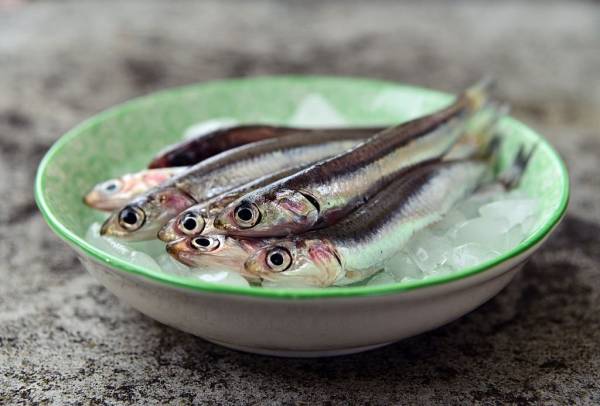 6 Ikan yang Mengandung Kolesterol Tinggi, Batasi Konsumsinya