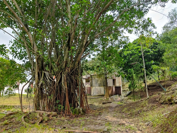 Sejarah Candi Songgoriti, Peninggalan Mistis Mataram Tempat Bersemayam Makhluk Gaib